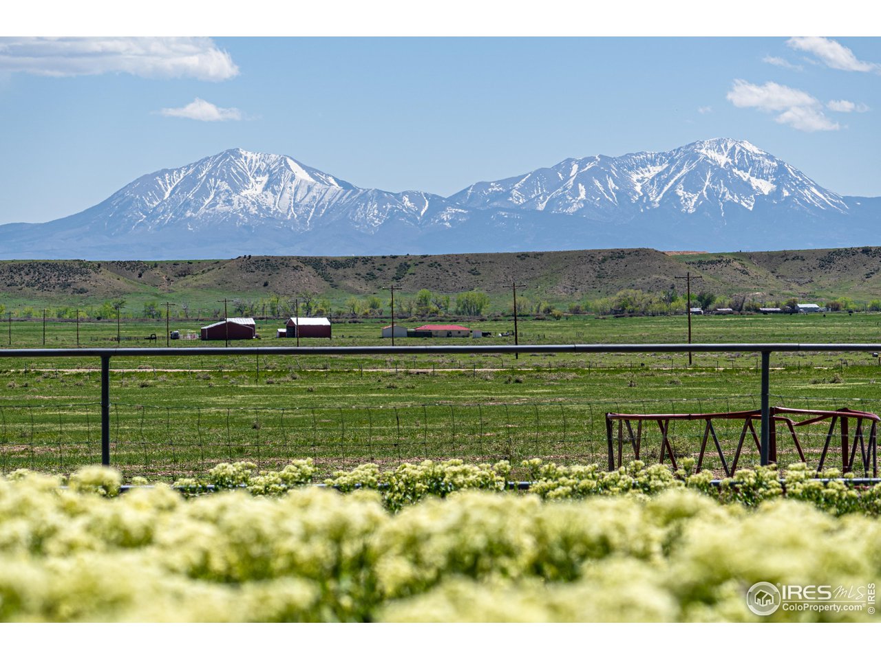 620 County Road 670 Rye, CO 81069 - Photo 14 of 40 a view of a house with a yard and a pond