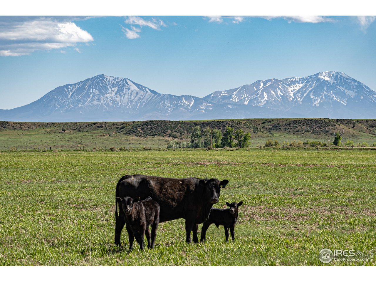 620 County Road 670 Rye, CO 81069 - Photo 36 of 40