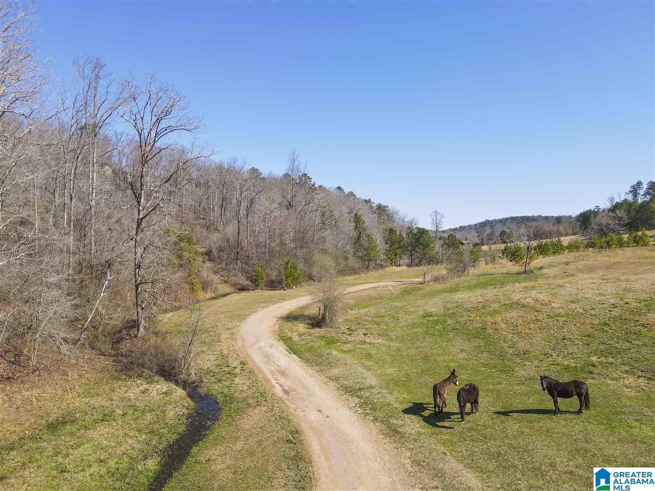 39080 Highway 231 Steele, AL 35987 - Photo 16 of 37