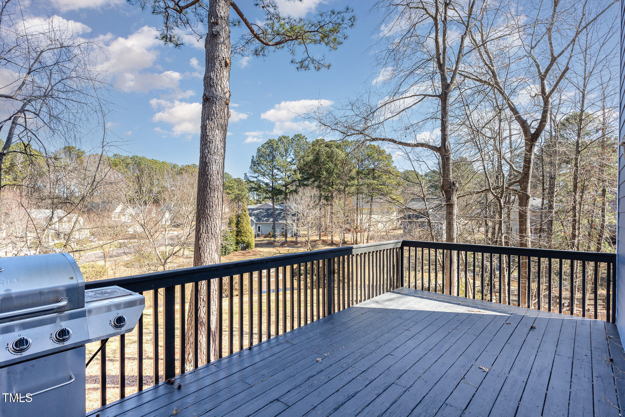 307 Rushing Wind Way Apex, NC 27502 - Photo 32 of 40 035_file_335