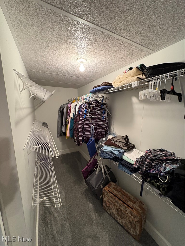 9220 Cherry Road Vermilion, OH 44089 - Photo 23 of 41 Spacious closet