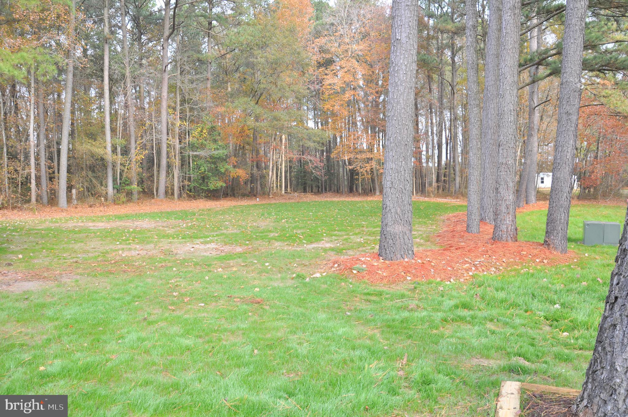 1235 Cedar Hall Road Pocomoke City, MD 21851 - Photo 45 of 97 Gallery Image 45