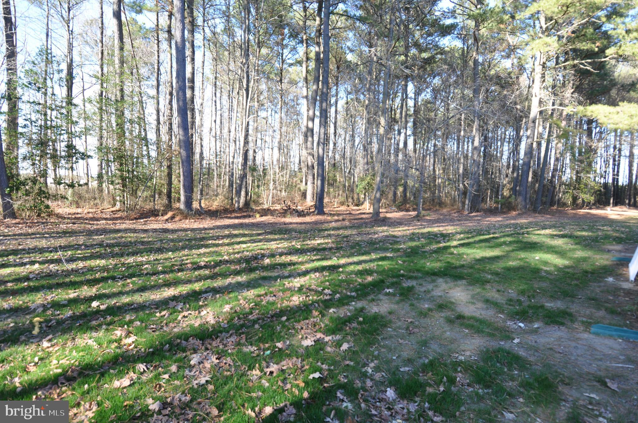 1235 Cedar Hall Road Pocomoke City, MD 21851 - Photo 46 of 97 Gallery Image 46