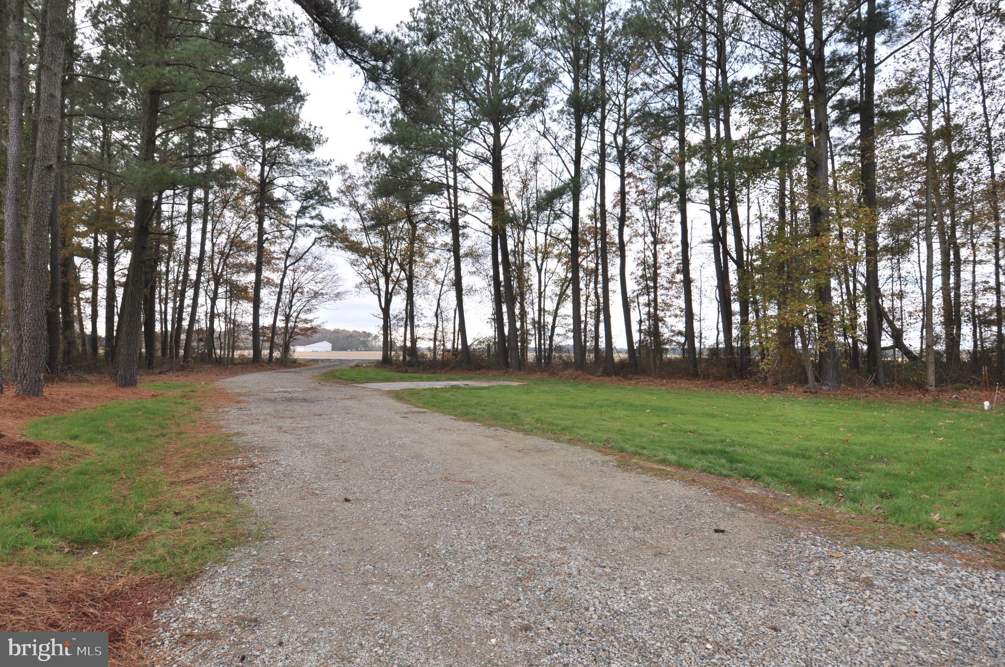 1235 Cedar Hall Road Pocomoke City, MD 21851 - Photo 48 of 97 Gallery Image 48