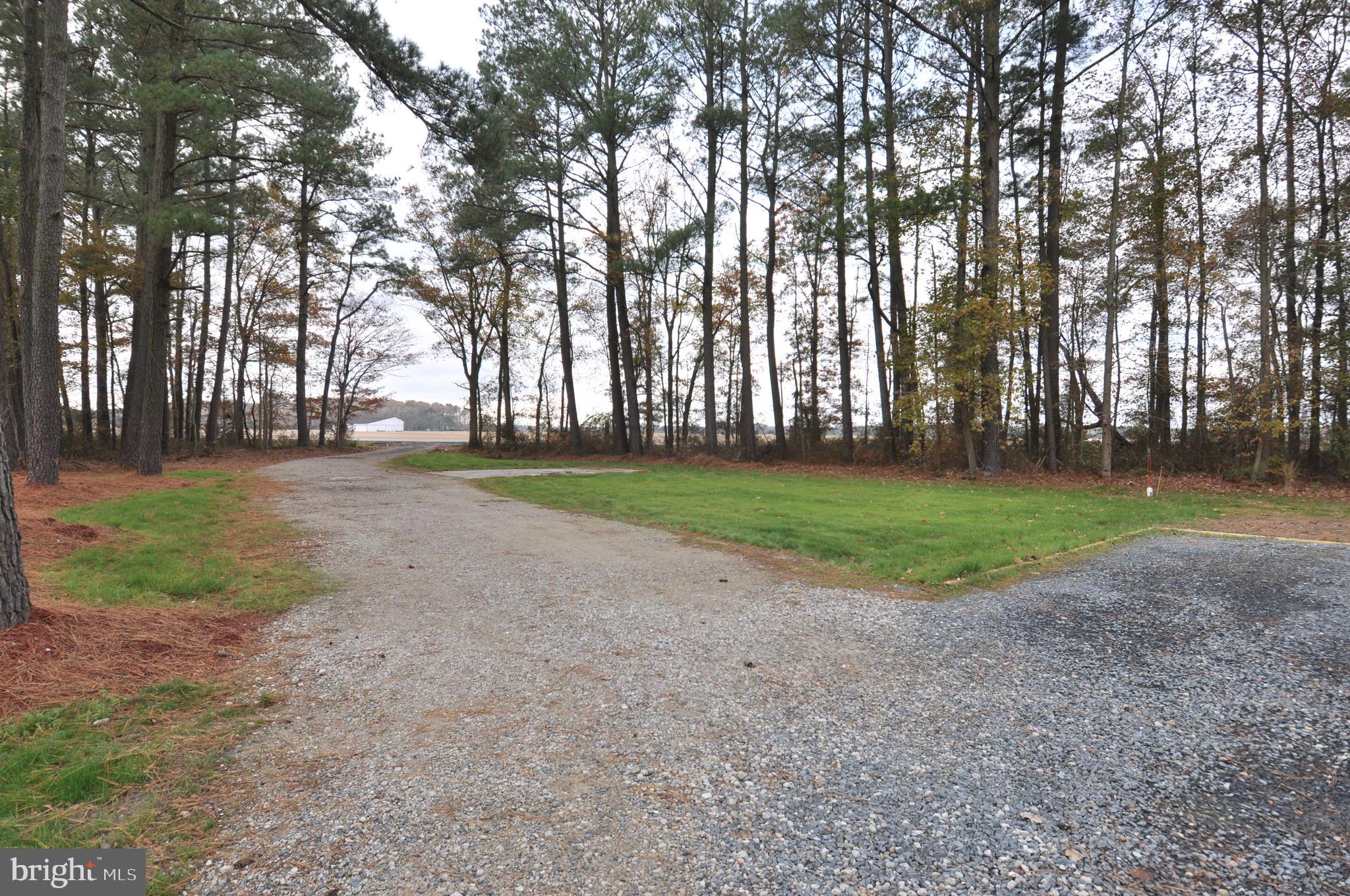 1235 Cedar Hall Road Pocomoke City, MD 21851 - Photo 49 of 97 Gallery Image 49