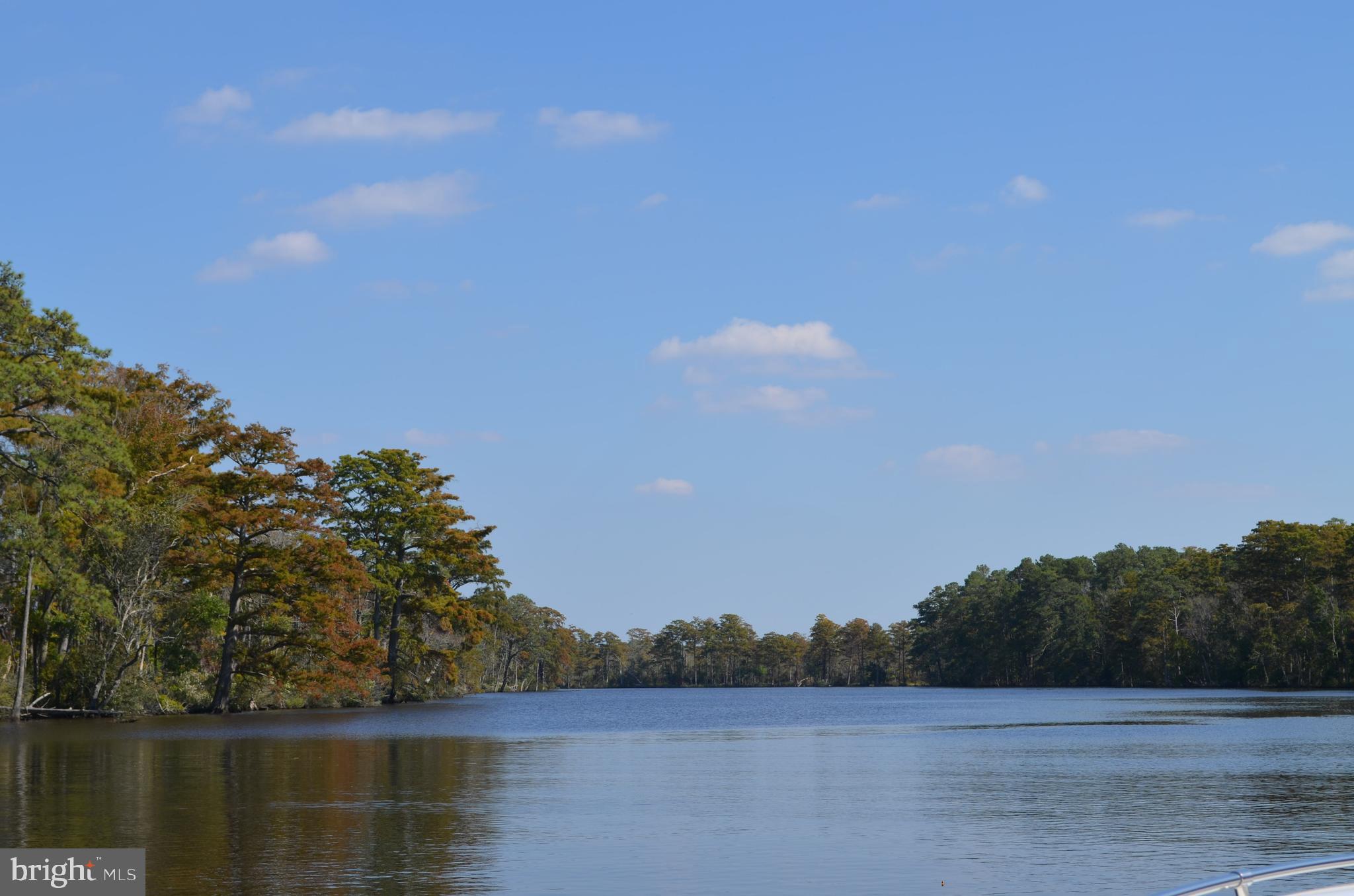 1235 Cedar Hall Road Pocomoke City, MD 21851 - Photo 73 of 97 Gallery Image 73