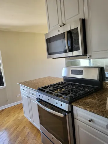 $2,450 | 525 West Aldine Avenue, Unit 602, Chicago, IL 60657