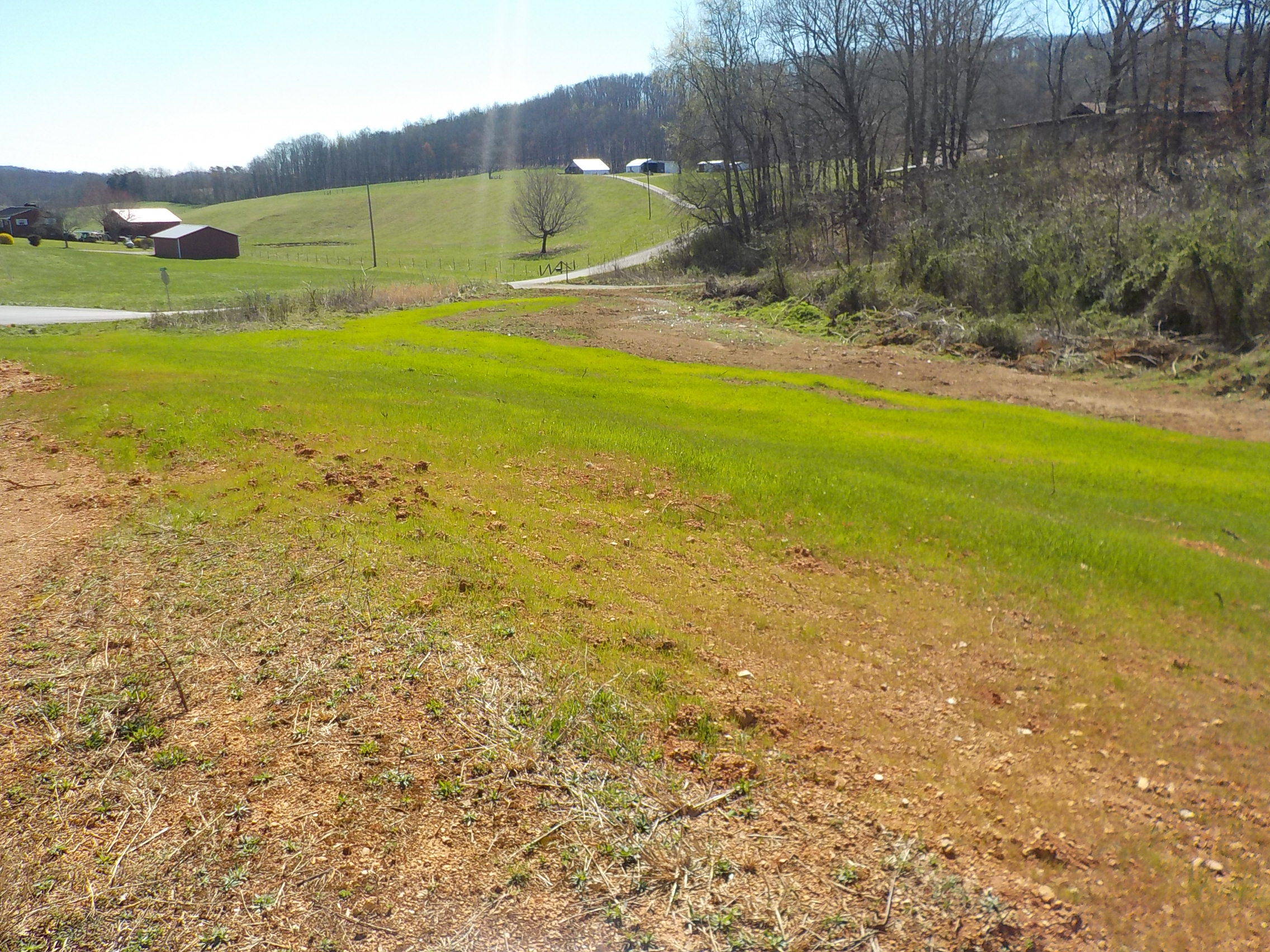 0 Owl Hole Gap Road Rutledge, TN 37861 - Photo 2 of 7 004
