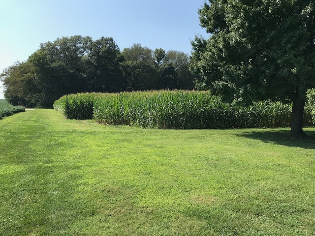 9010 Cleveland Road Poseyville, IN 47633 - Photo 3 of 9 Gallery Image 3