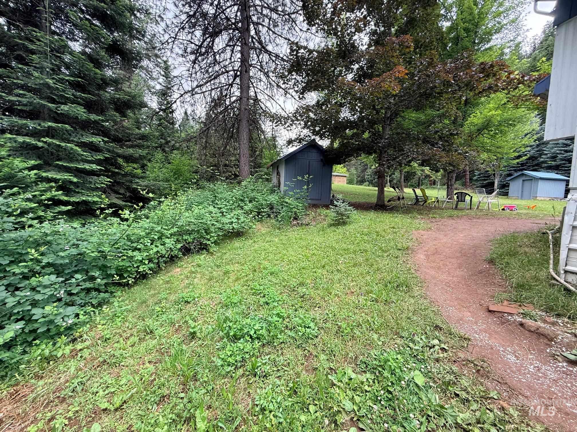 5742 Grangemont Road Orofino, ID 83544 - Photo 22 of 25 Expansive natural grounds featuring mature evergreen trees and additional foliage