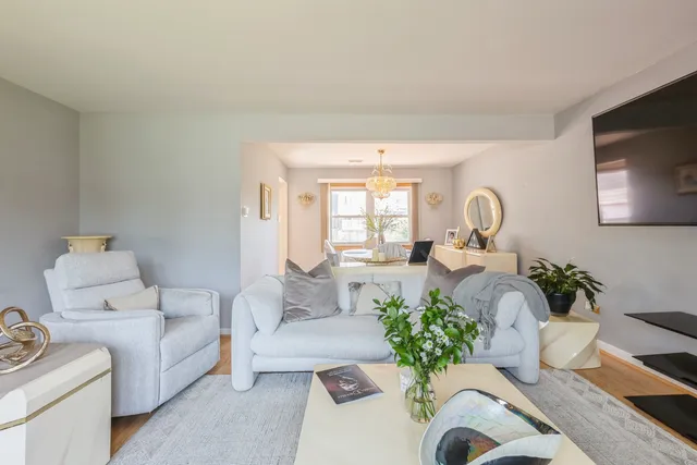 a living room with furniture flowerpot and a mirror