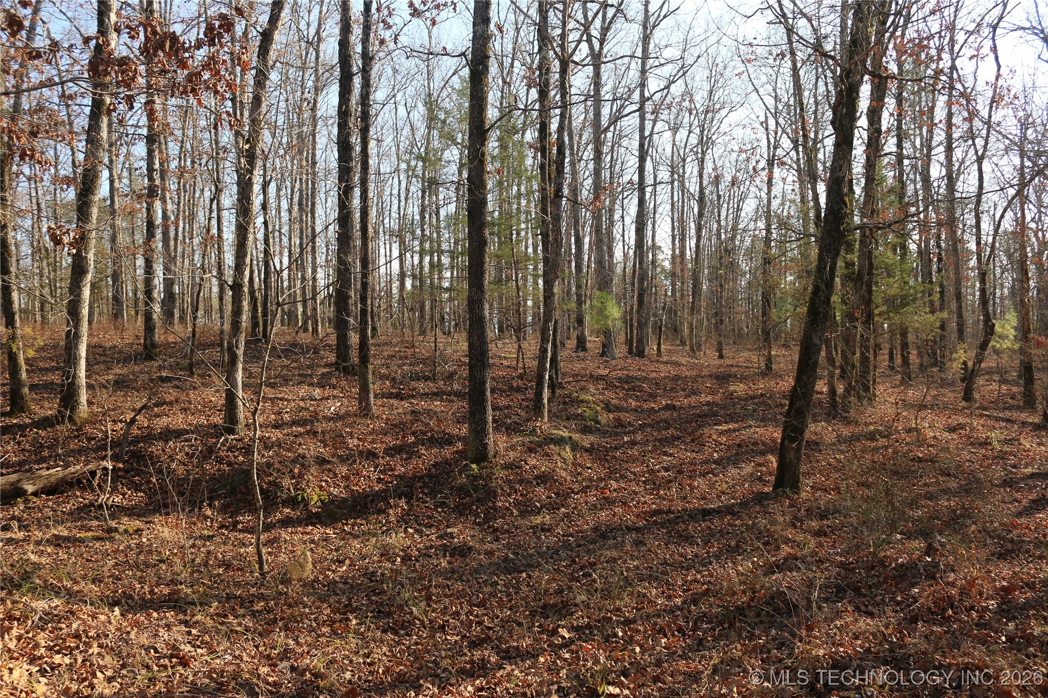 Marsh Loop Loop Smithville, OK 74957 - Photo 16 of 65 Gallery Image 16