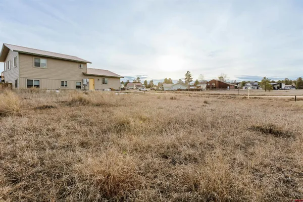 a view of a dry yard with wooden fence