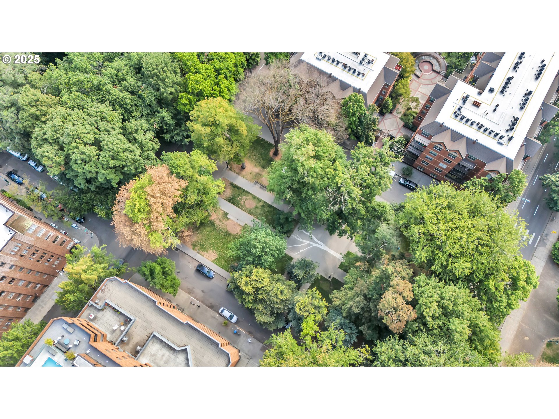 1500 Southwest Park Avenue, Unit 232 Portland, OR 97201 - Photo 39 of 40 a picture of a city view