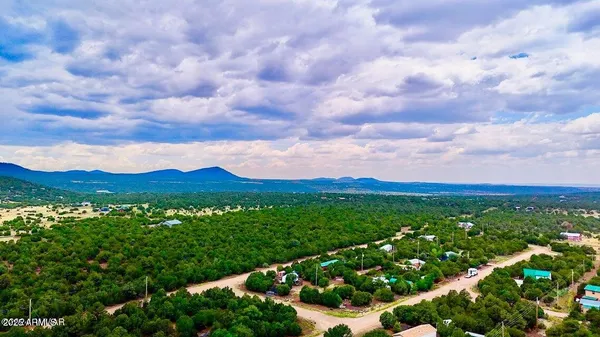 a view of a city with lush green forest