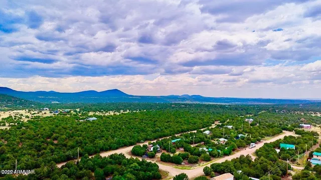 a view of a city with lush green forest