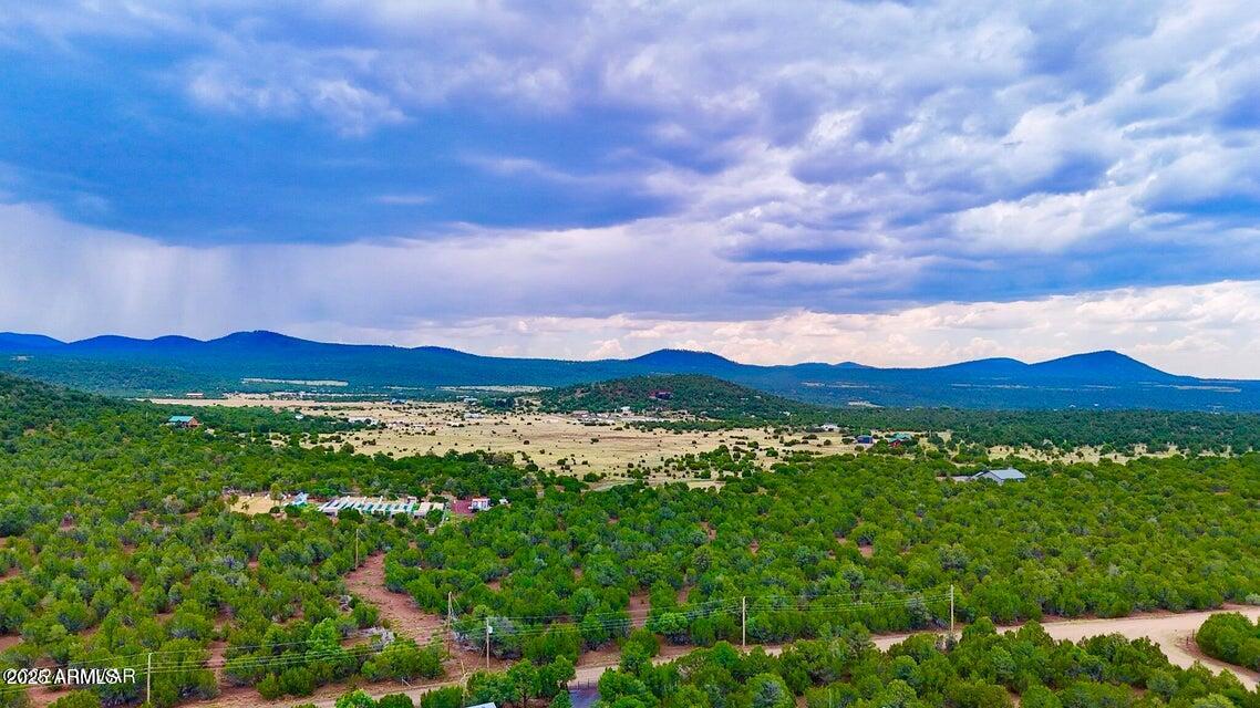 23 Co Road Show Low, AZ 85901 - Photo 13 of 15 a view of an lush green forest