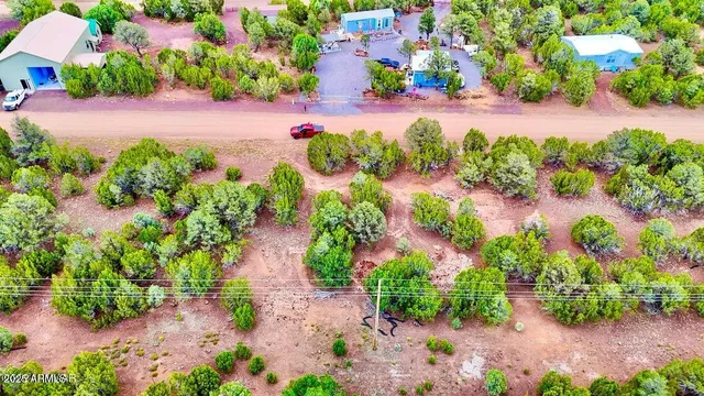 a view of a garden with plants