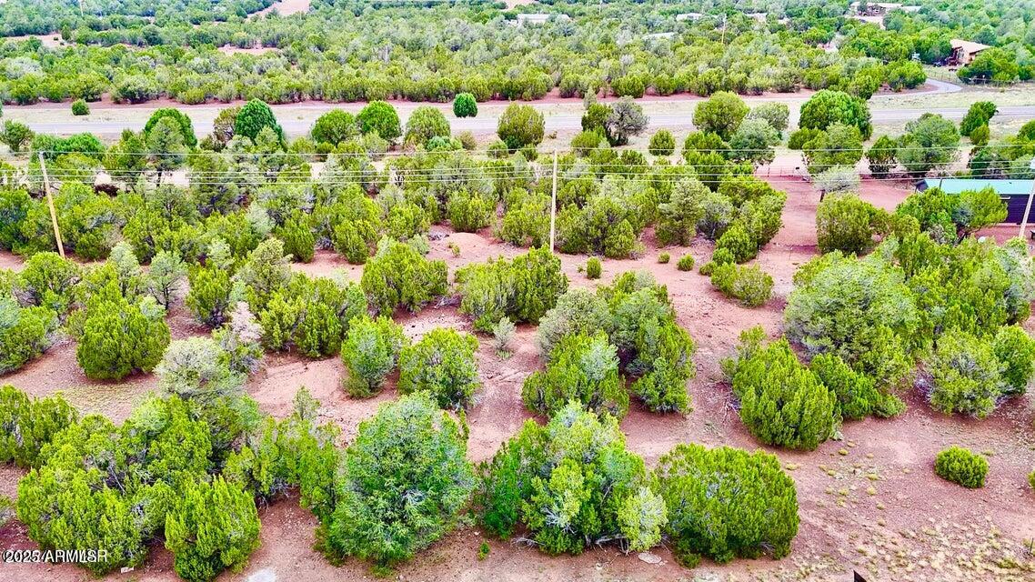 23 Co Road Show Low, AZ 85901 - Photo 15 of 15 a view of a garden with plants
