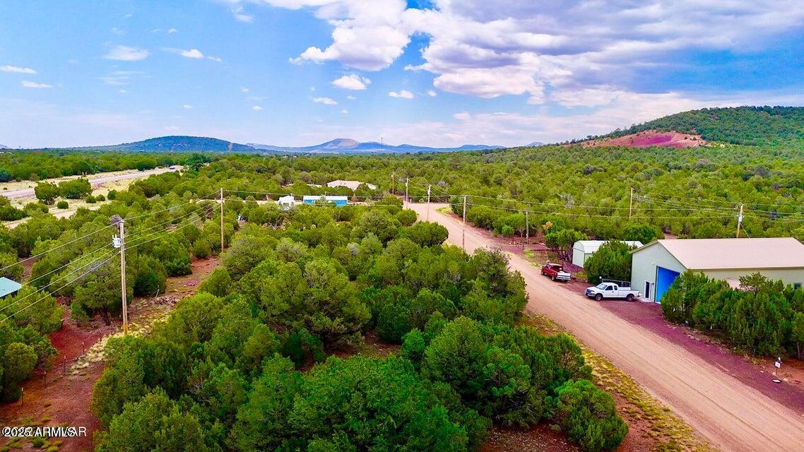 23 Co Road Show Low, AZ 85901 - Photo 2 of 15 a view of a city with flower plants and wooden fence