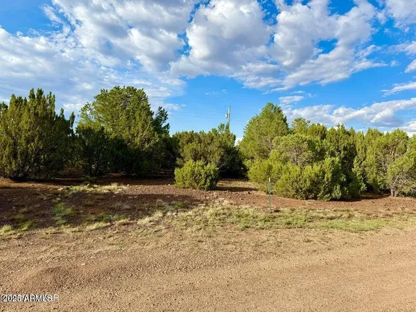 a view of a yard with trees