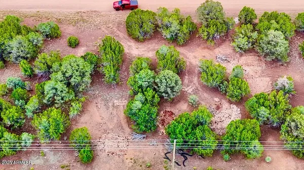 an aerial view of garden with swimming pool
