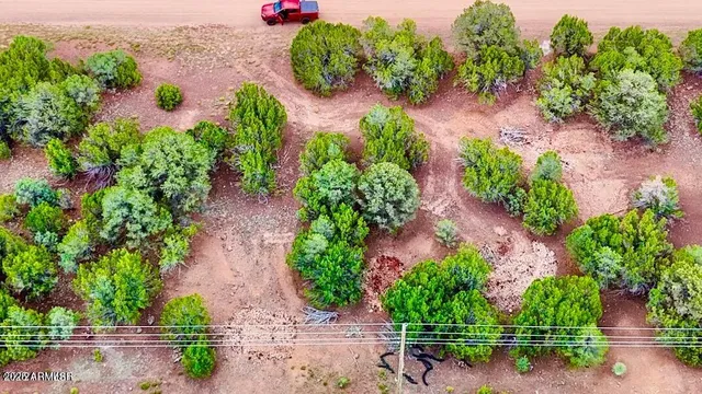 an aerial view of garden with swimming pool