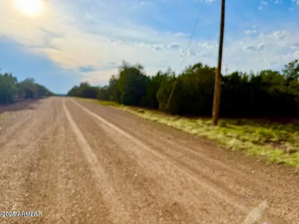 a street view with beach