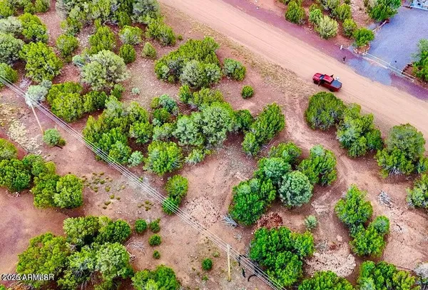 a view of a garden with a lot of houses