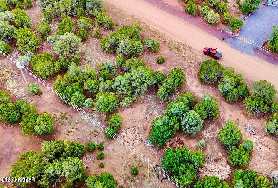 23 Co Road Show Low, AZ 85901 - Photo 8 of 15