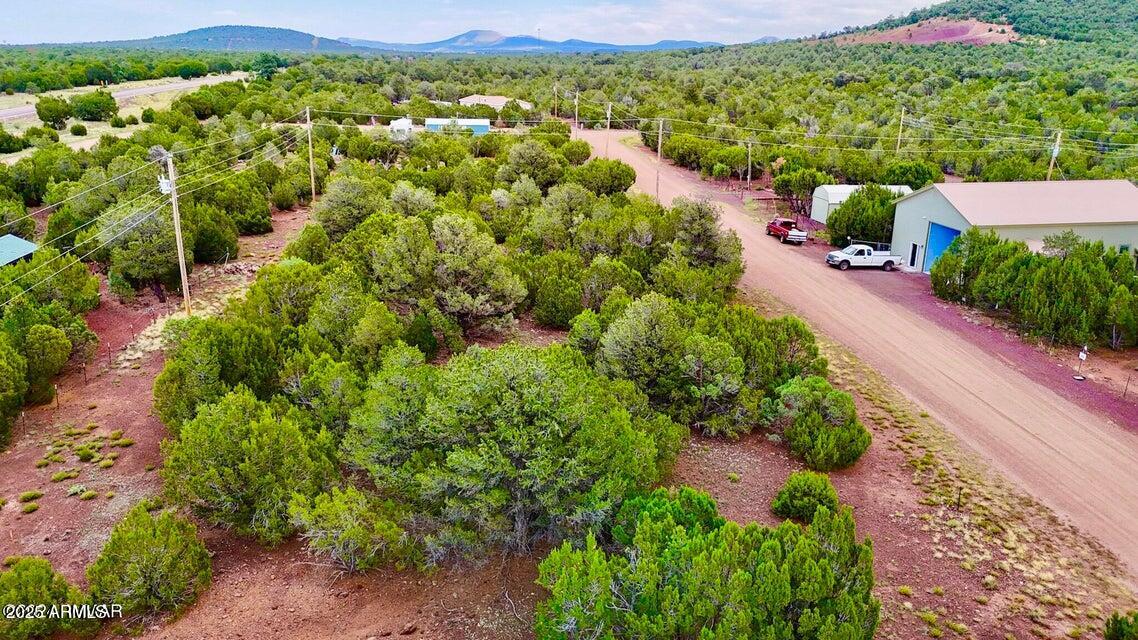 23 Co Road Show Low, AZ 85901 - Photo 9 of 15 a view of a garden with a lot of houses