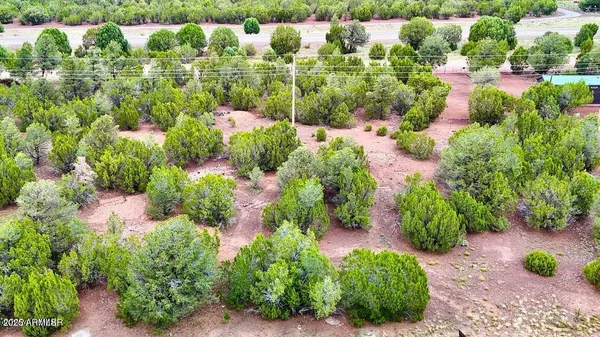 a view of a lush green hillside and a houses