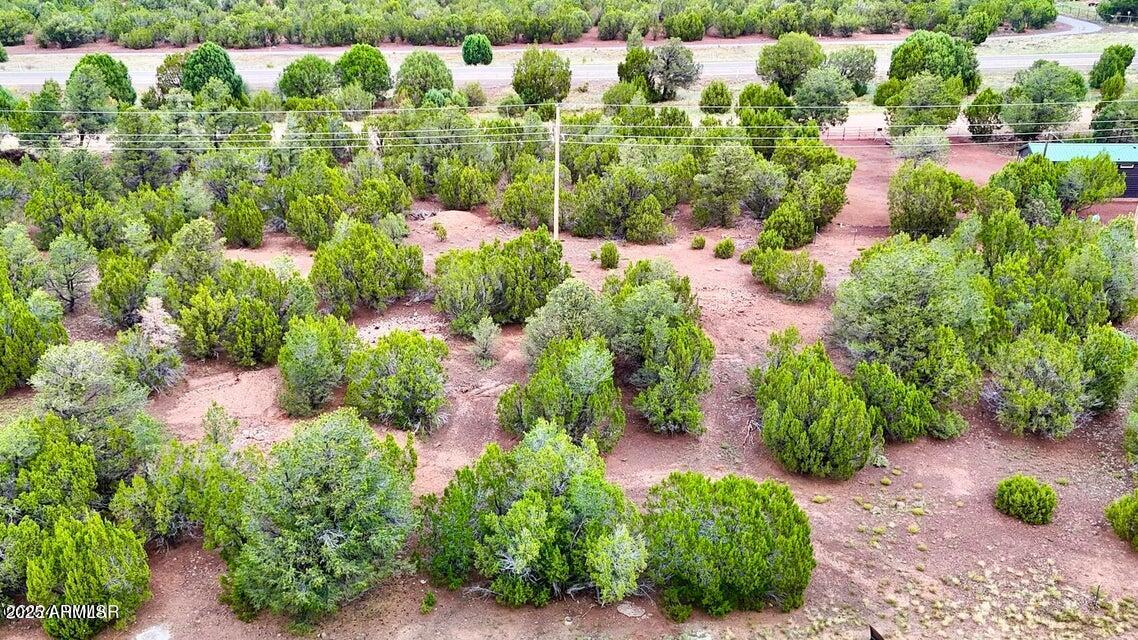 23 Co Road Show Low, AZ 85901 - Photo 10 of 15 a picture of flowers
