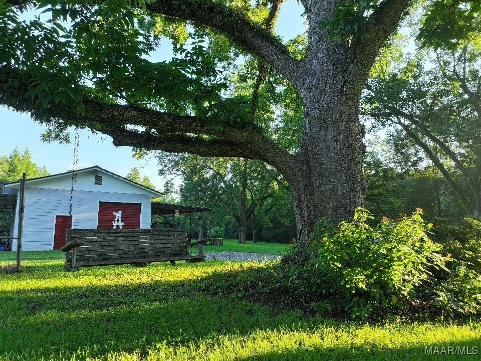 1205 Turkey Creek Road Luverne, AL 36049 - Photo 14 of 51 Gallery Image 14