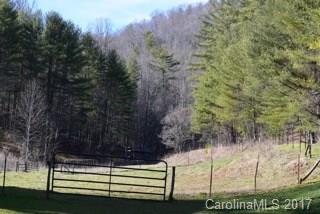 217 Day Star Ridge Clyde, NC 28721 - Photo 14 of 24 a view of backyard with green space