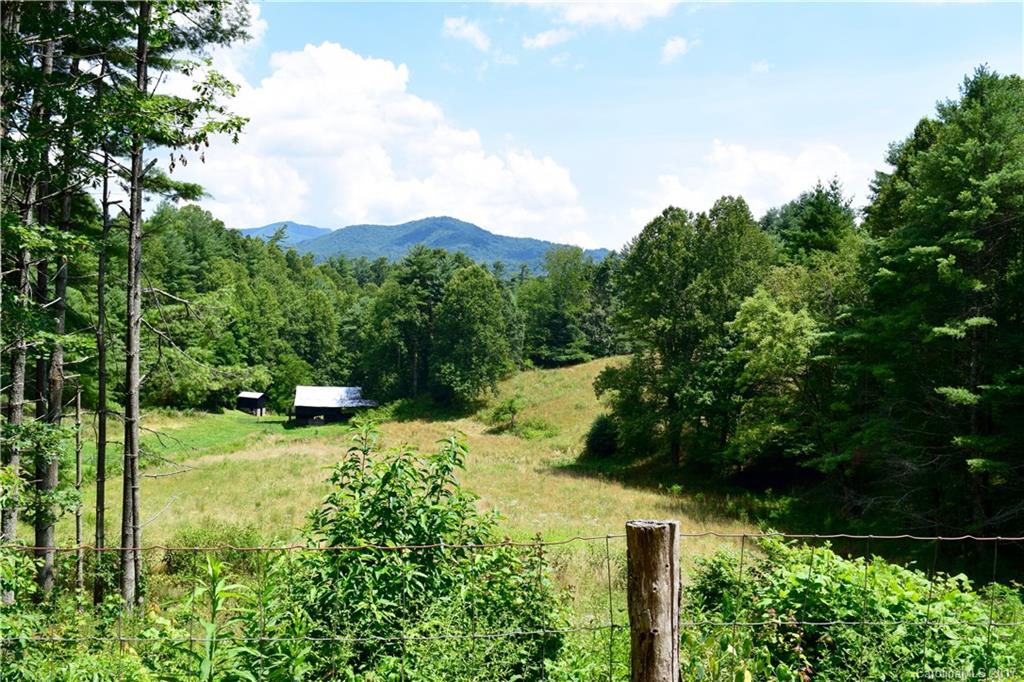 217 Day Star Ridge Clyde, NC 28721 - Photo 3 of 24 a view of a garden with large trees