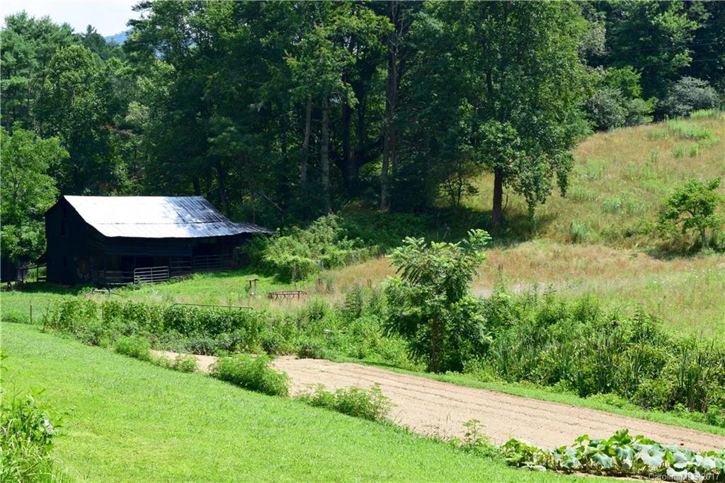 217 Day Star Ridge Clyde, NC 28721 - Photo 8 of 24 a view of a backyard