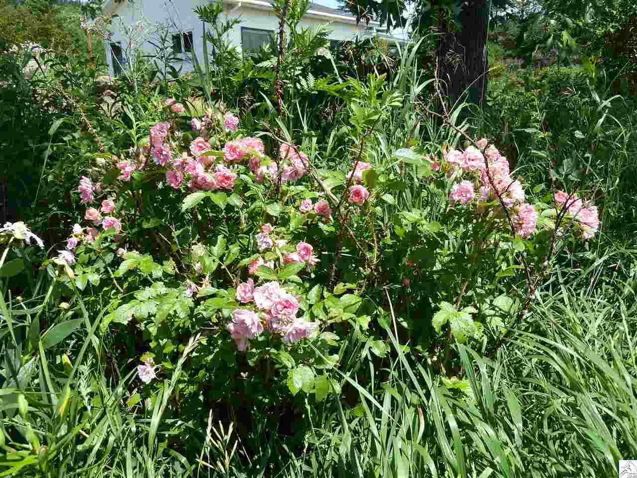 6895 Homestead Road Duluth, MN 55804 - Photo 5 of 17