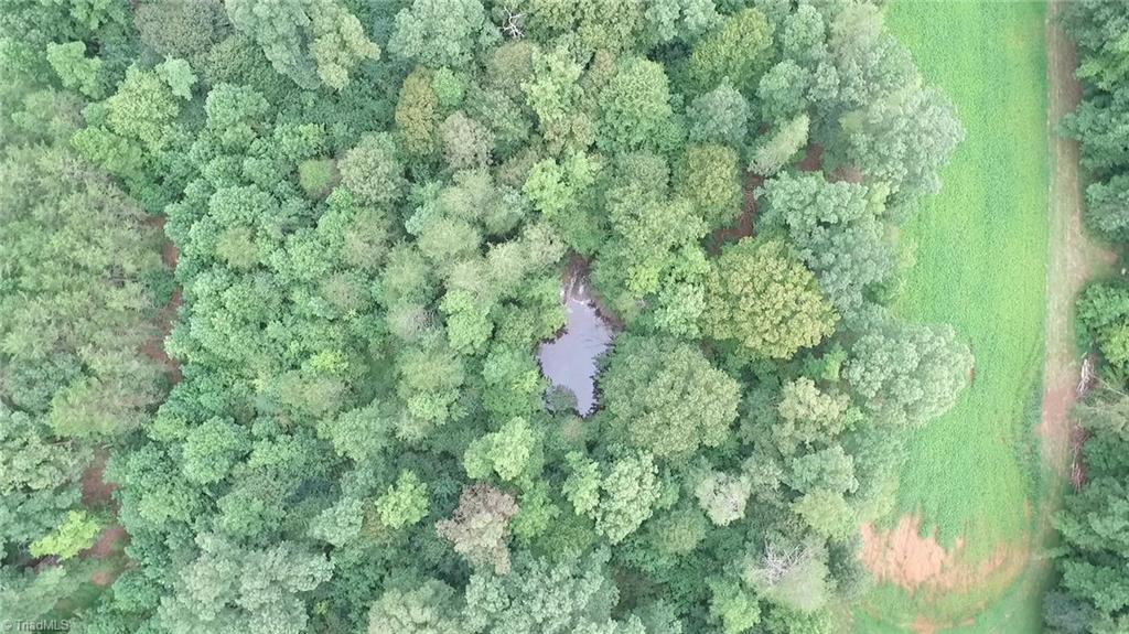 3048 Quaker Church Road Pinnacle, NC 27043 - Photo 11 of 24
