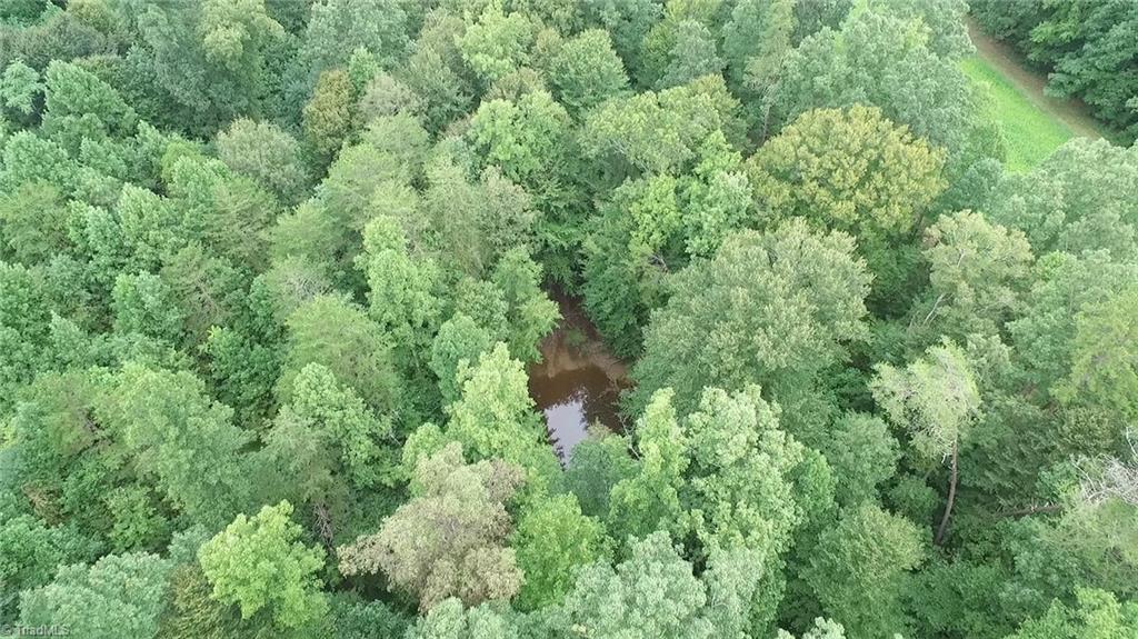 3048 Quaker Church Road Pinnacle, NC 27043 - Photo 13 of 24