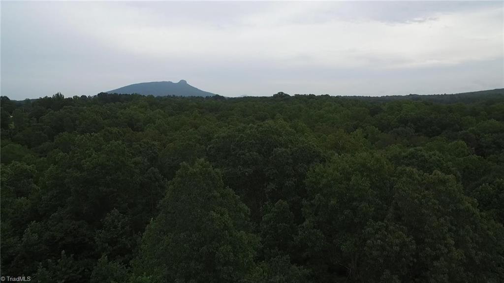 3048 Quaker Church Road Pinnacle, NC 27043 - Photo 23 of 24