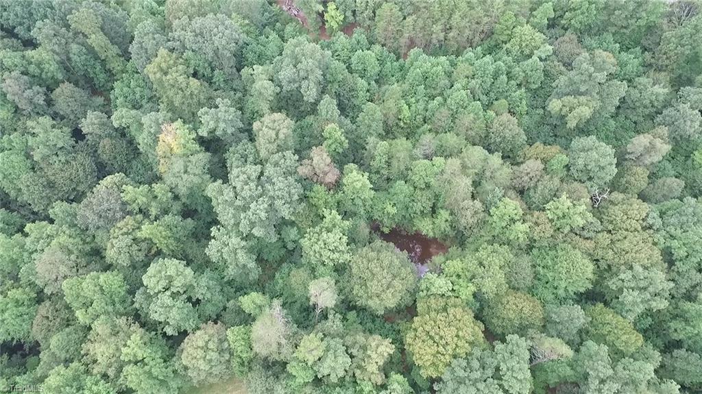 3048 Quaker Church Road Pinnacle, NC 27043 - Photo 10 of 24