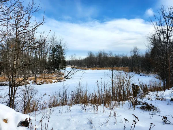 $175,000 | 3670 County Road 97, International Falls, MN 56649