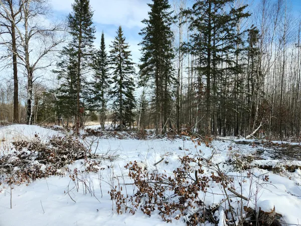 $175,000 | 3670 County Road 97, International Falls, MN 56649