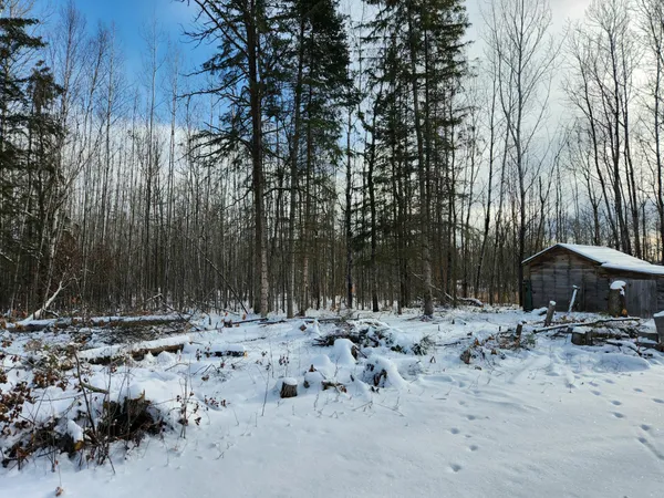 $175,000 | 3670 County Road 97, International Falls, MN 56649