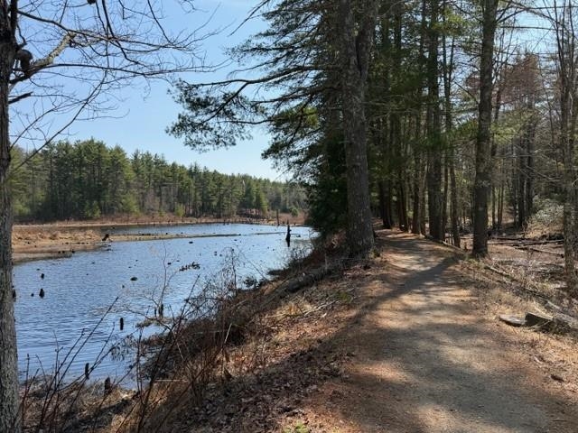 117 Ruonala Road Milford, NH 03055 - Photo 10 of 56 Gallery Image 10