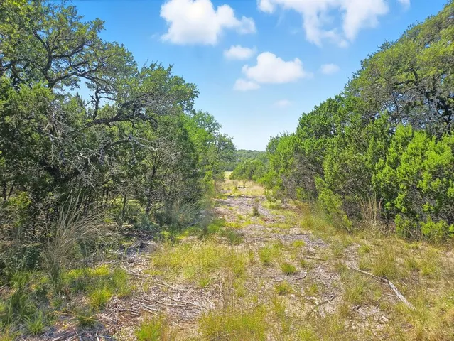 a view of a lake with a yard