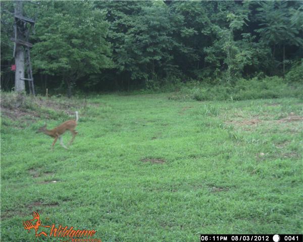 730 B Rogues Fork Road Bethpage, TN 37022 - Photo 2 of 2