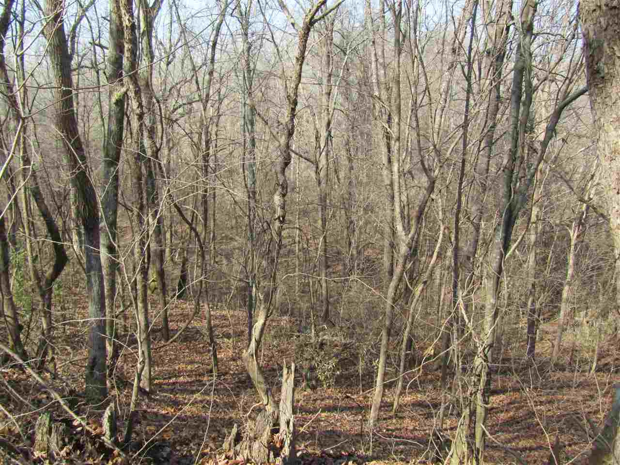 70 Avant Road Crenshaw, MS 38621 - Photo 1 of 25 Photo 1