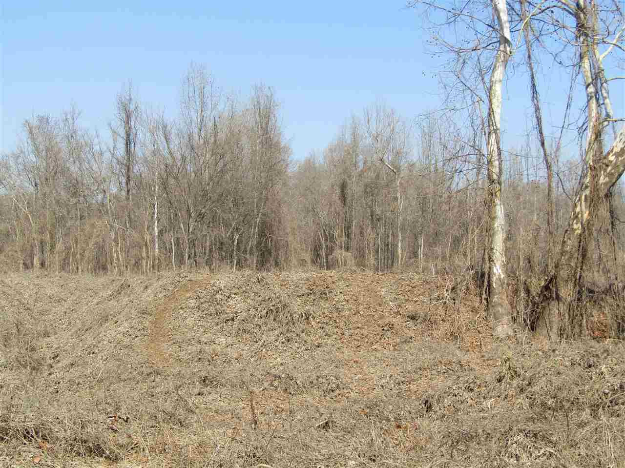 70 Avant Road Crenshaw, MS 38621 - Photo 12 of 25 Photo 12